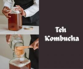Teh Kombucha